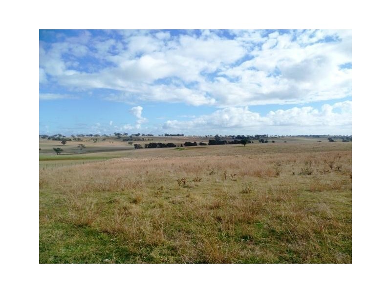 387 Strathmore Lane, Molong NSW 2866