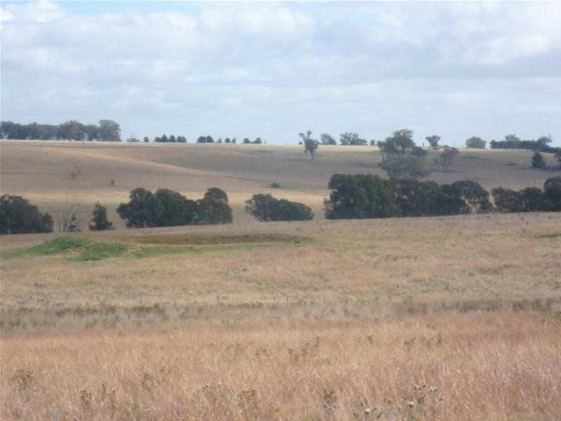 387 Strathmore Lane, Molong NSW 2866