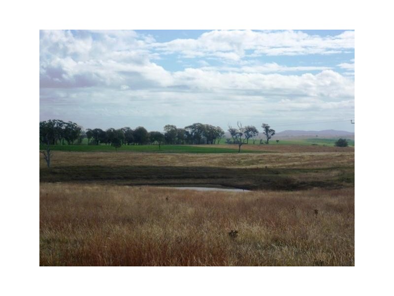 387 Strathmore Lane, Molong NSW 2866