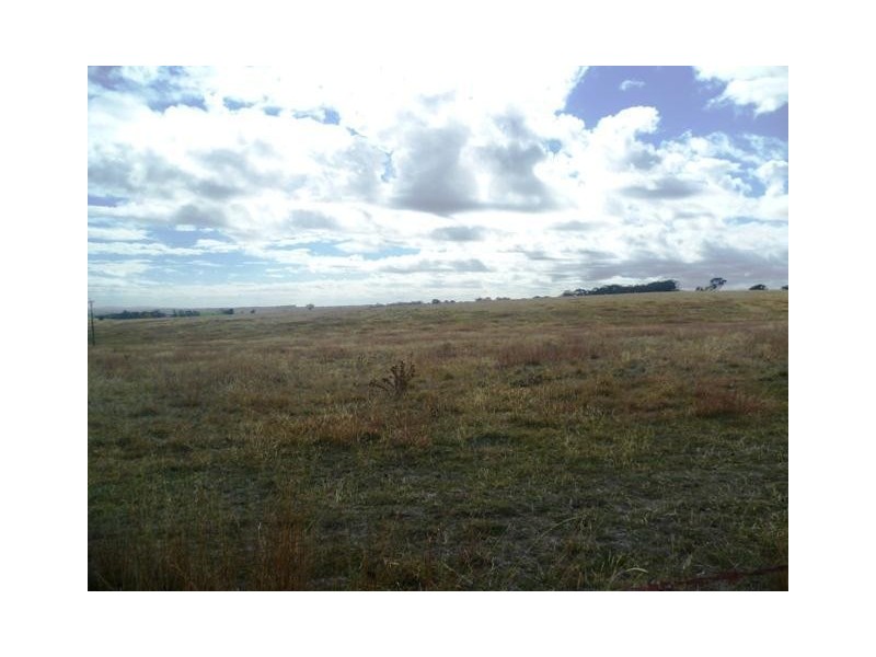 387 Strathmore Lane, Molong NSW 2866