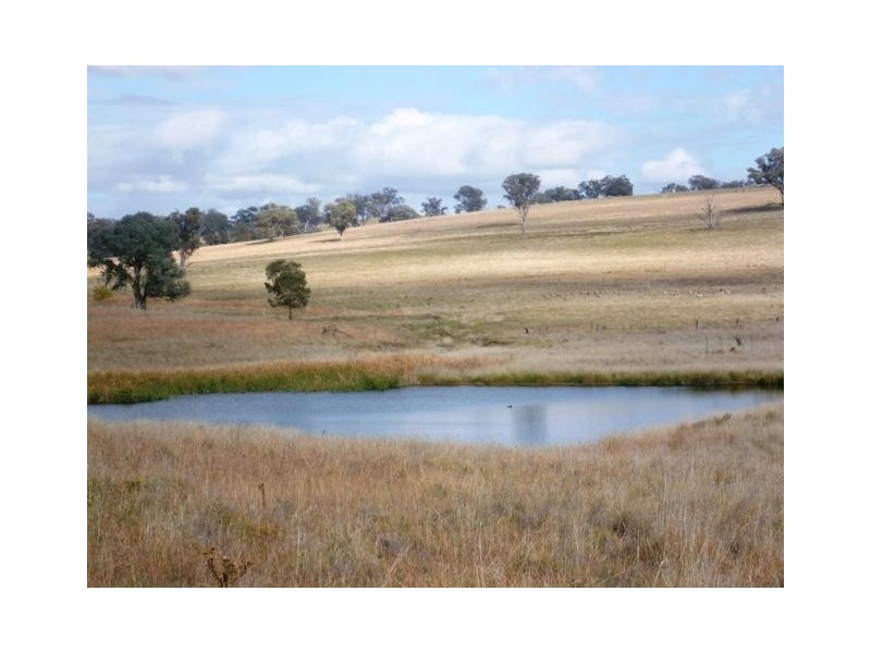 387 Strathmore Lane, Molong NSW 2866