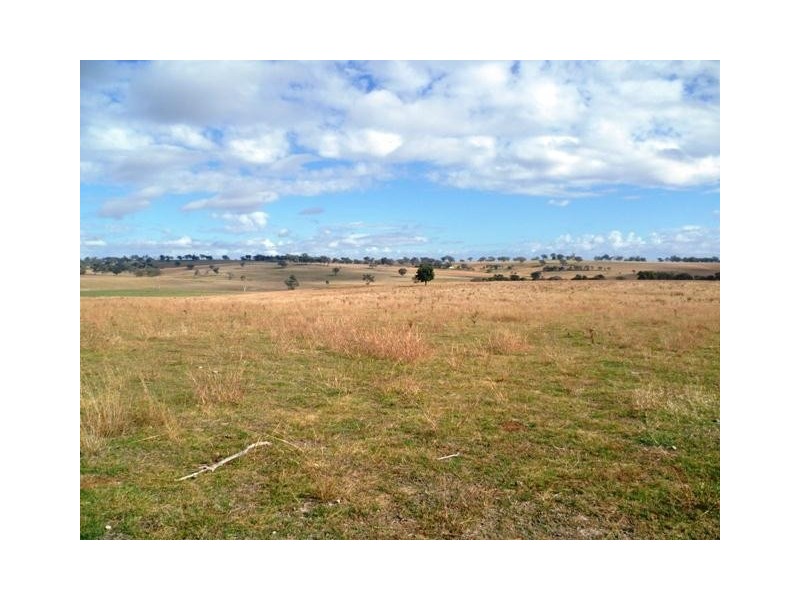 387 Strathmore Lane, Molong NSW 2866