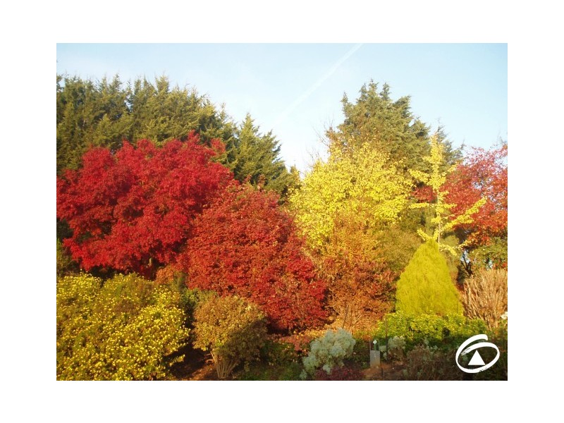 Carwoola Drive, Orange NSW 2800