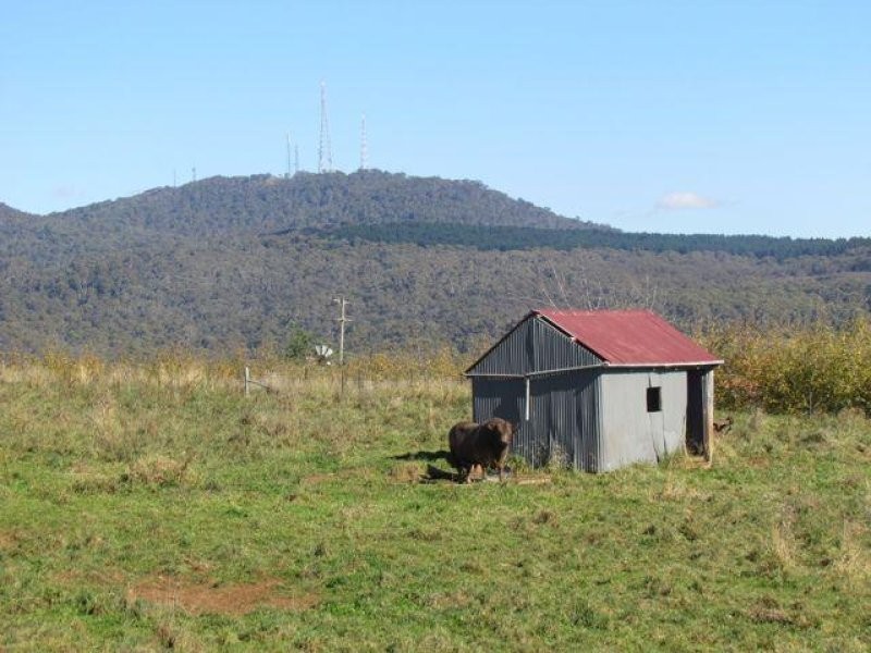 683 Canobolas Road, Orange NSW 2800