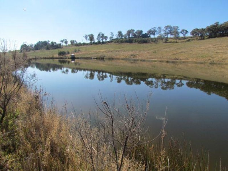 683 Canobolas Road, Orange NSW 2800
