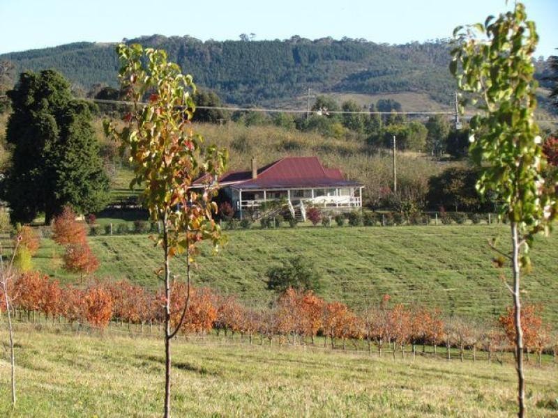 683 Canobolas Road, Orange NSW 2800