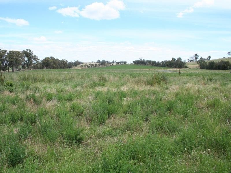 59 Lawson Road, Orange NSW 2800