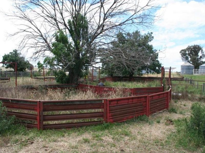 59 Lawson Road, Orange NSW 2800