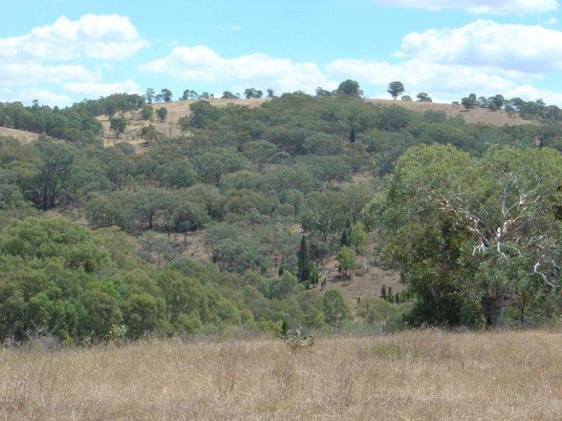 1217 Bundalah Road, Orange NSW 2800