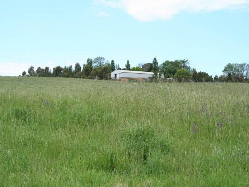 1190 Mitchell Highway, Orange NSW 2800