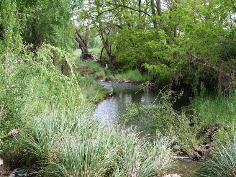 1190 Mitchell Highway, Orange NSW 2800