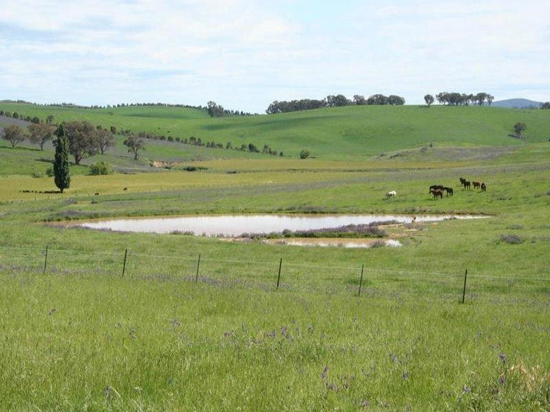 1190 Mitchell Highway, Orange NSW 2800