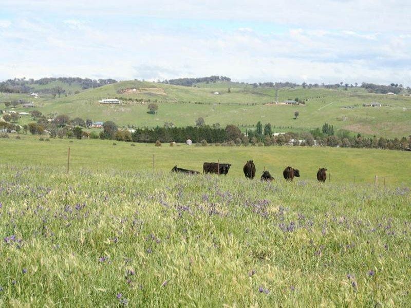 1190 Mitchell Highway, Orange NSW 2800