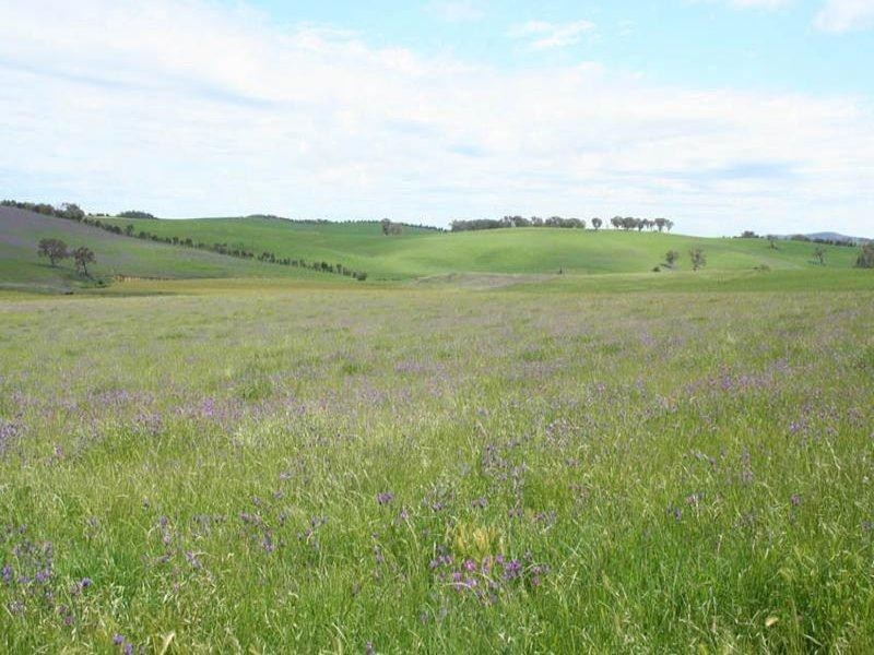 1190 Mitchell Highway, Orange NSW 2800