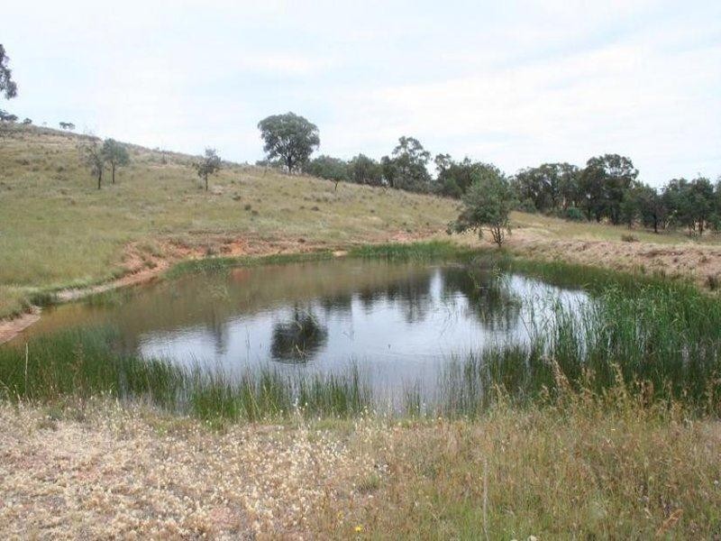 920 Lewis Ponds Road, Orange NSW 2800