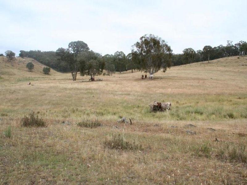 920 Lewis Ponds Road, Orange NSW 2800