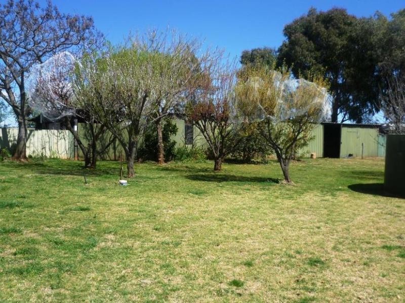 8 Showground Lane, Cudal NSW 2864