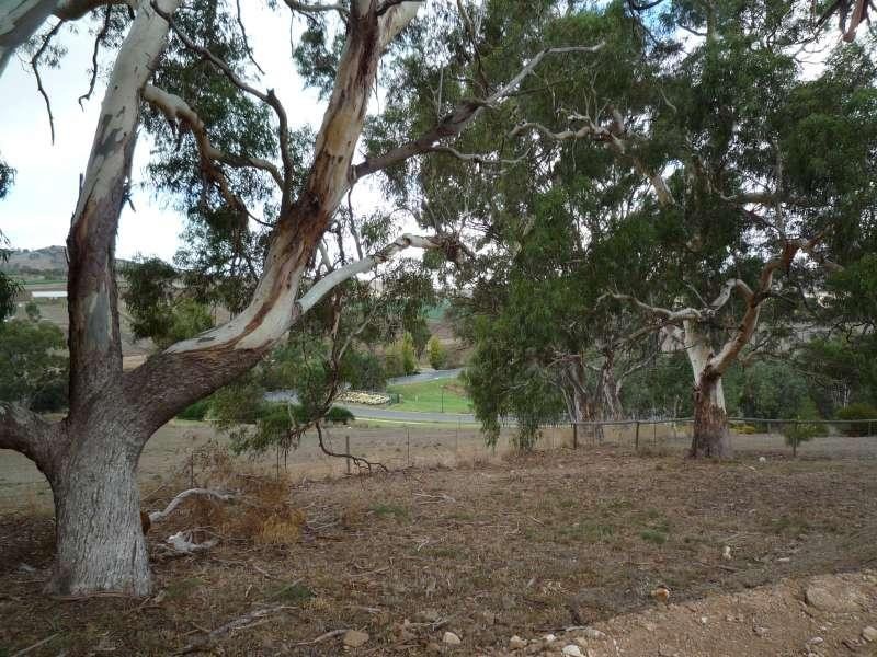 163 Burnbank Way, Mount Barker SA 5251