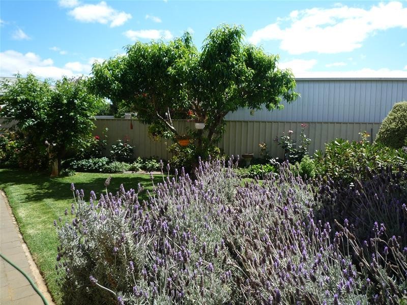 1/14 McCallum Court, Strathalbyn SA 5255