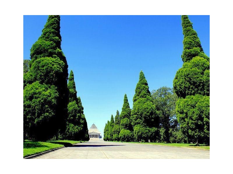 20C Napier Street, South Melbourne VIC 3205