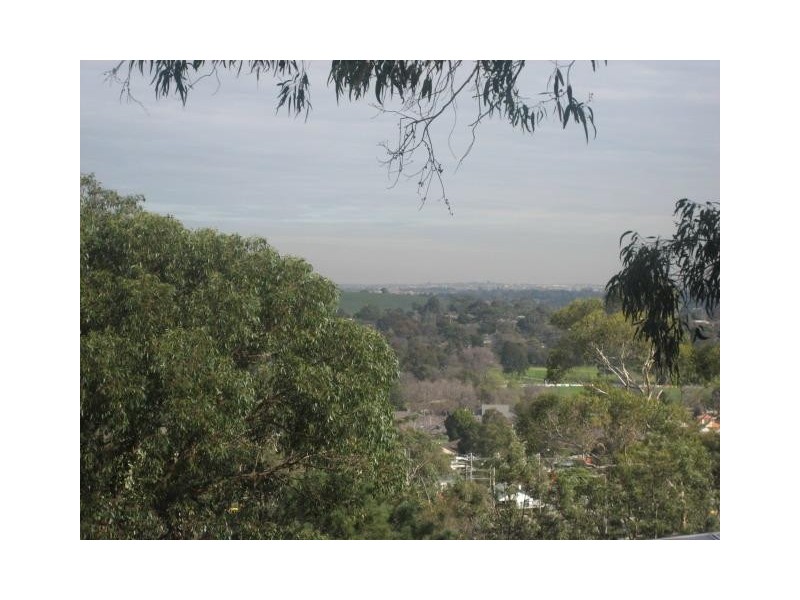 13 Seaby  Avenue, Upper Ferntree Gully VIC 3156