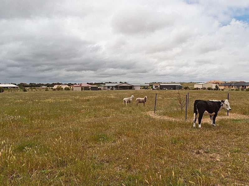 7 Lockaba Drive, Strathalbyn SA 5255