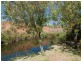 12 (Lot)  Jacob Road, Willyaroo SA 5255