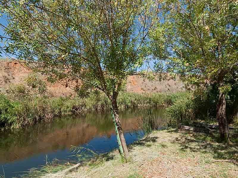 12 (Lot)  Jacob Road, Willyaroo SA 5255