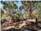 12 (Lot)  Jacob Road, Willyaroo SA 5255