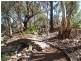 12 (Lot)  Jacob Road, Willyaroo SA 5255