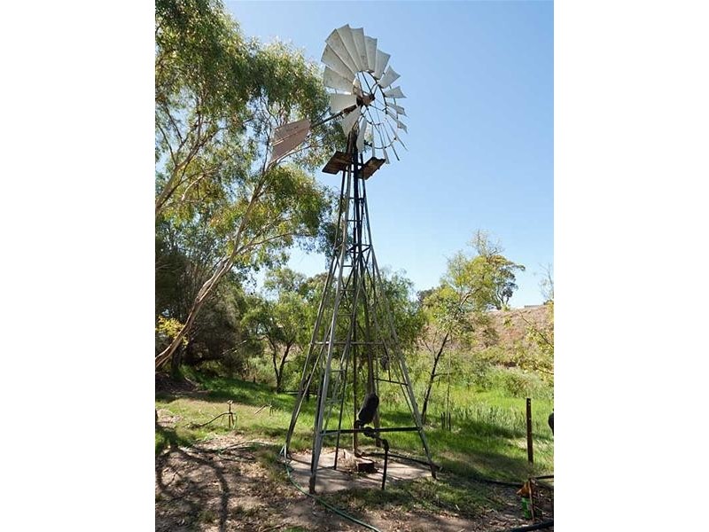 12 (Lot)  Jacob Road, Willyaroo SA 5255