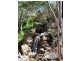 12 (Lot)  Jacob Road, Willyaroo SA 5255