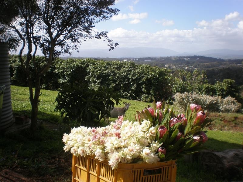 93 Invermay Road, Monbulk VIC 3793