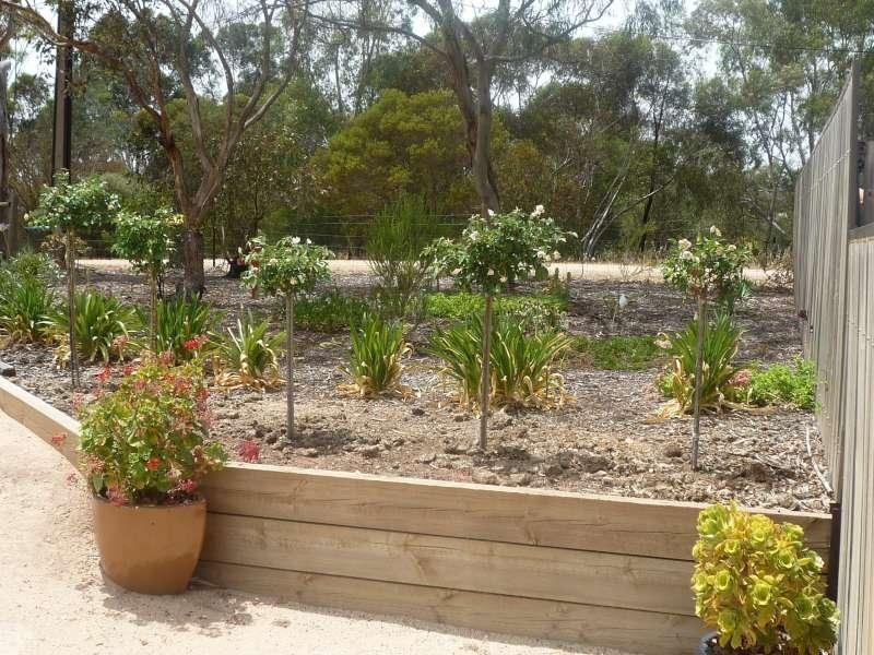 100 Blacker Road, Willyaroo SA 5255