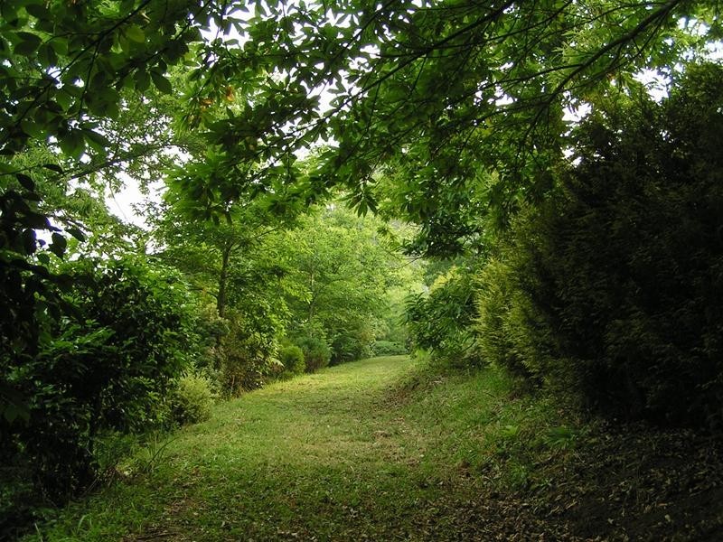 32 The Patch Road, The Patch VIC 3792