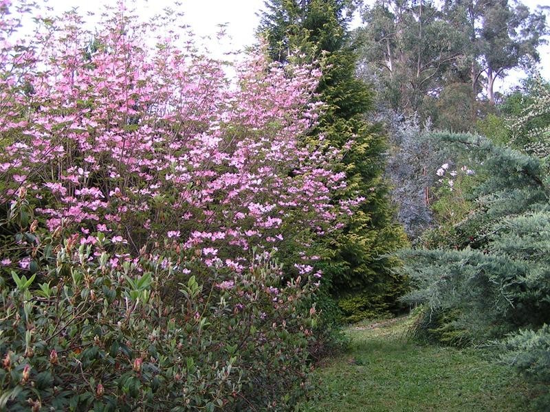 32 The Patch Road, The Patch VIC 3792