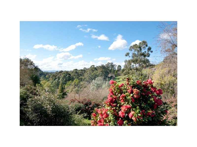 32 The Patch Road, The Patch VIC 3792