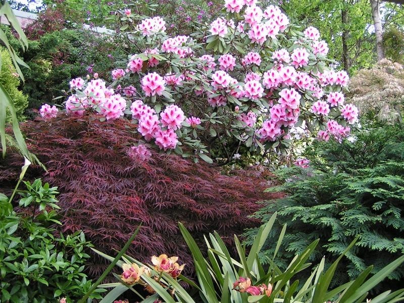 32 The Patch Road, The Patch VIC 3792