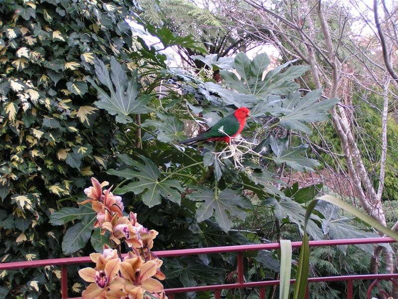 32 The Patch Road, The Patch VIC 3792