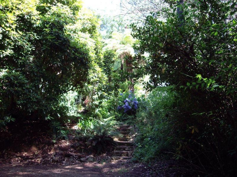 6 Beagley Street, Kallista VIC 3791