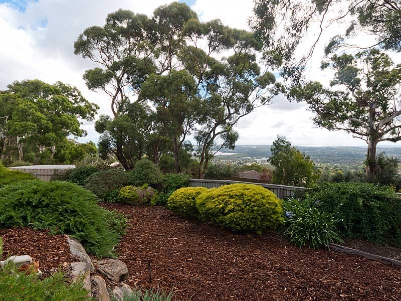 13 Charlson Rise, Happy Valley SA 5159