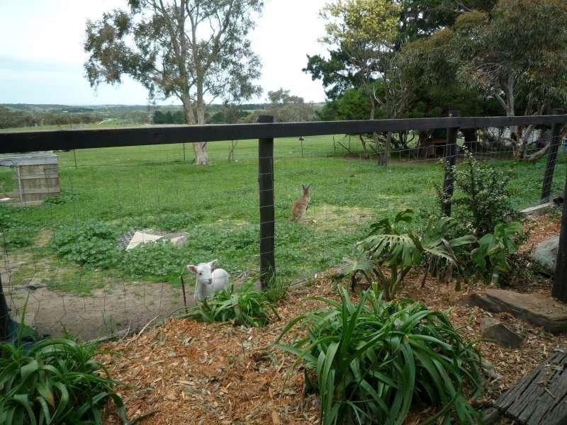 1006 Wellington Road, Wistow SA 5251