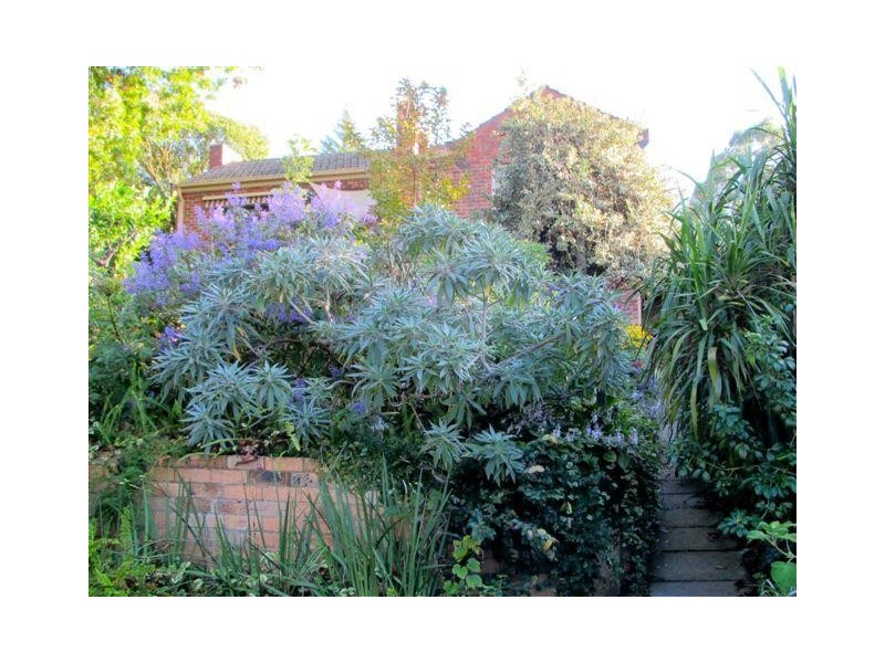 24 Melrose  Street, Mont Albert North VIC 3129