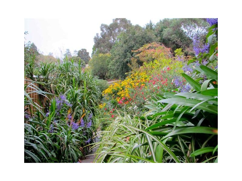 24 Melrose  Street, Mont Albert North VIC 3129