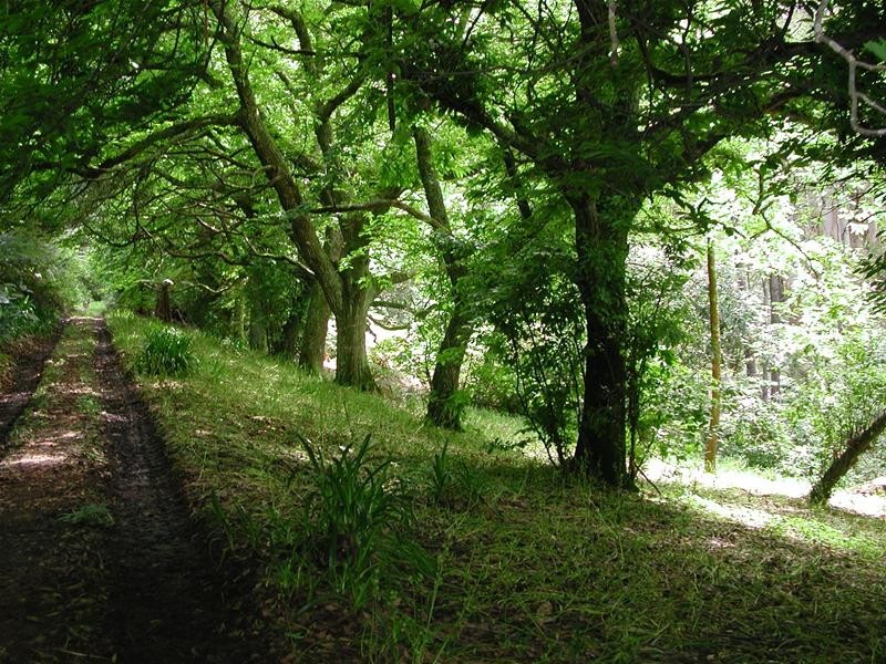 1 Misty Gully, Menzies Creek VIC 3159