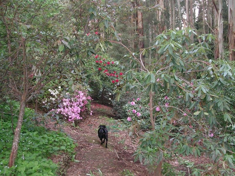 1 Misty Gully, Menzies Creek VIC 3159