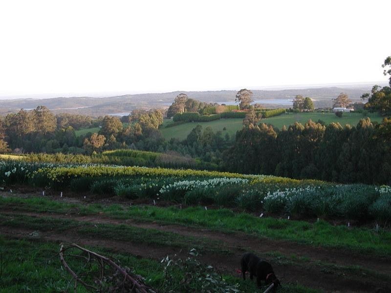 1 Misty Gully, Menzies Creek VIC 3159