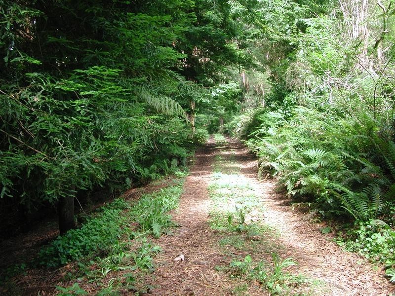 1 Misty Gully, Menzies Creek VIC 3159