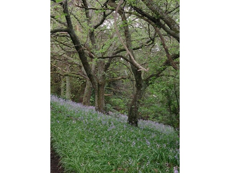 1 Misty Gully, Menzies Creek VIC 3159