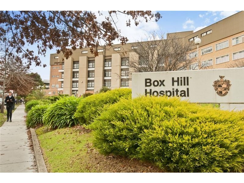 69 Nelson Road, Box Hill VIC 3128